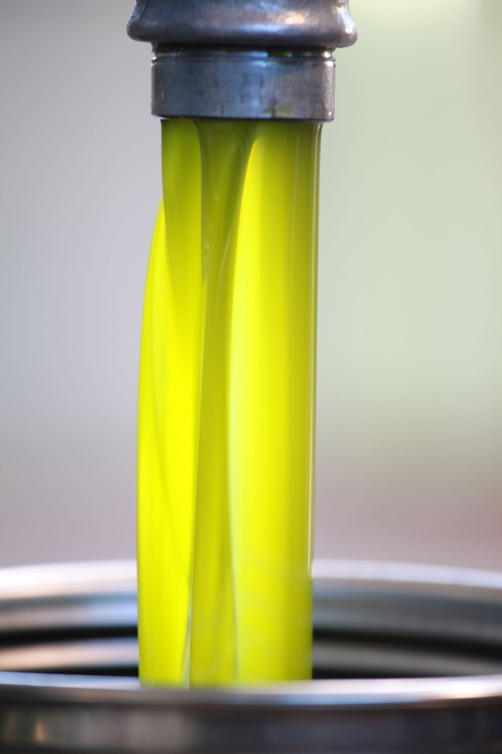 It’s Almost All About The Polyphenols! – Bramasole Olive Oil