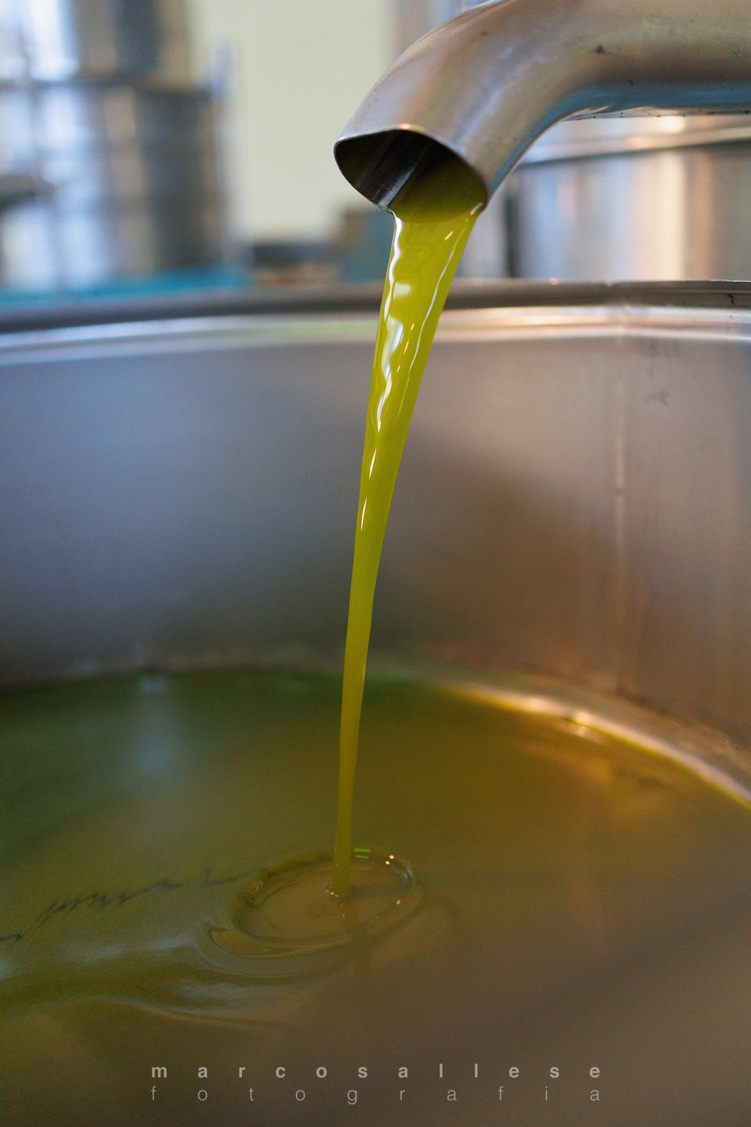 The Olive Oil Milling Process - Bramasole Olive Oil