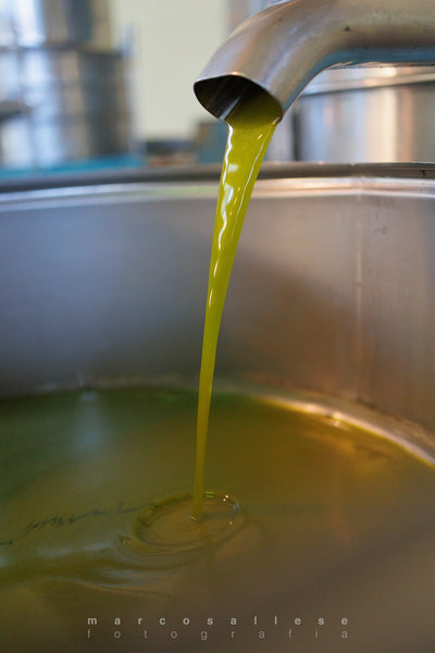 The Olive Oil Milling Process