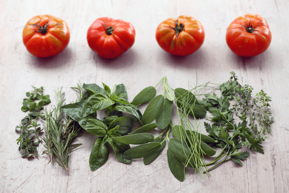 Tomato Time! Pablo Neruda’s “Ode to Tomatoes” and BLT Spaghetti Recipe - Bramasole Olive Oil