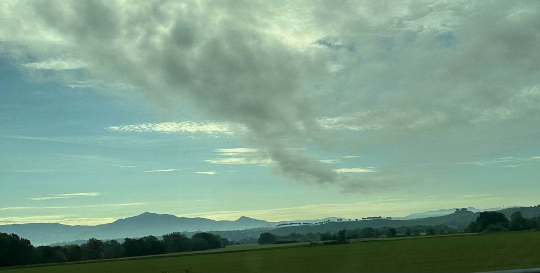 We've arrived at Bramasole! - Bramasole Olive Oil