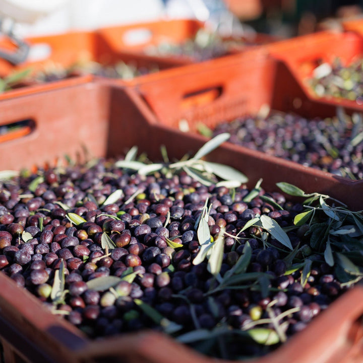 Basket of black olives with green leaves in a market setting