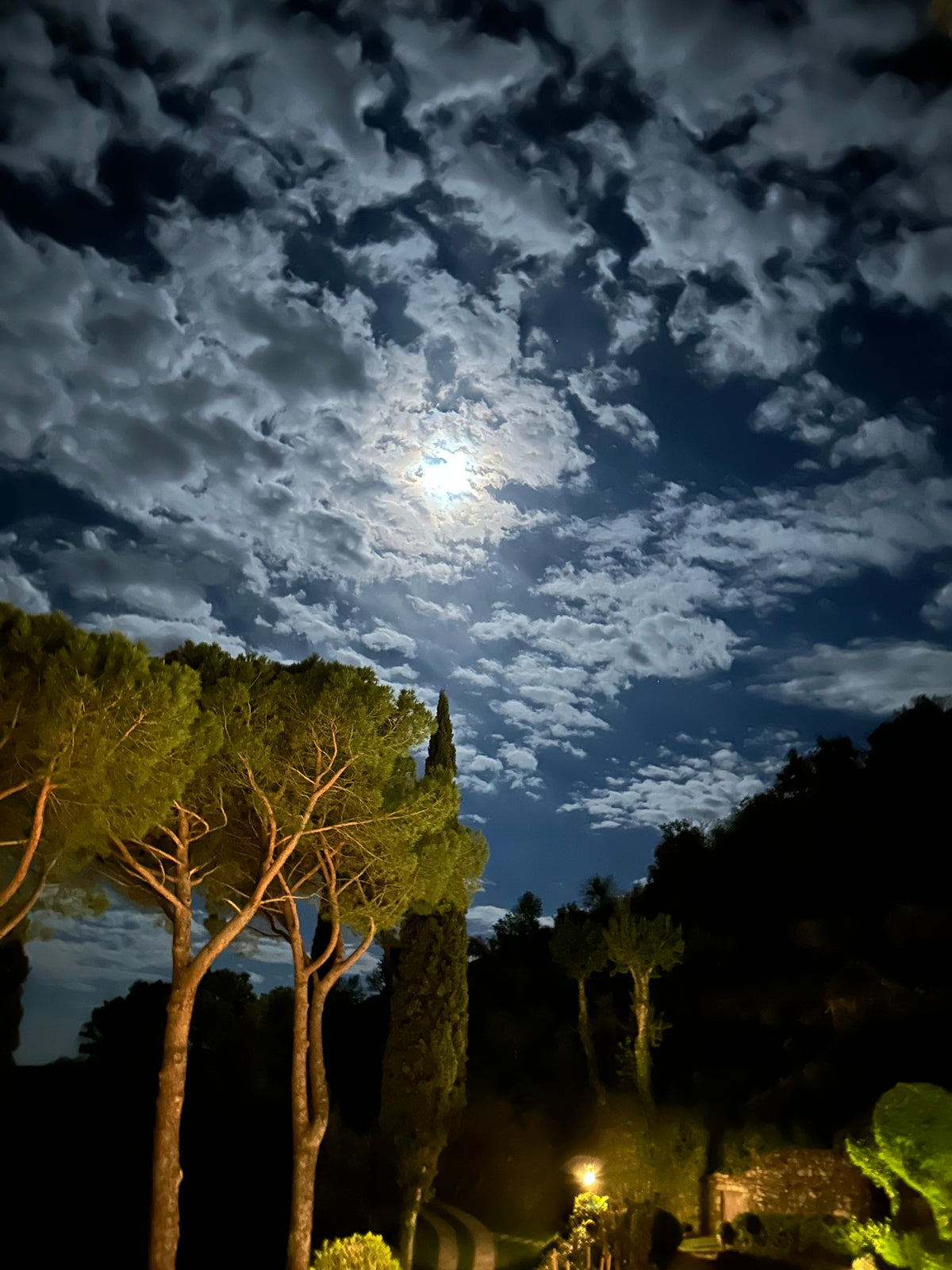 Gallery Italian Olive Oil Production Bramasole Bramasole Olive Oil