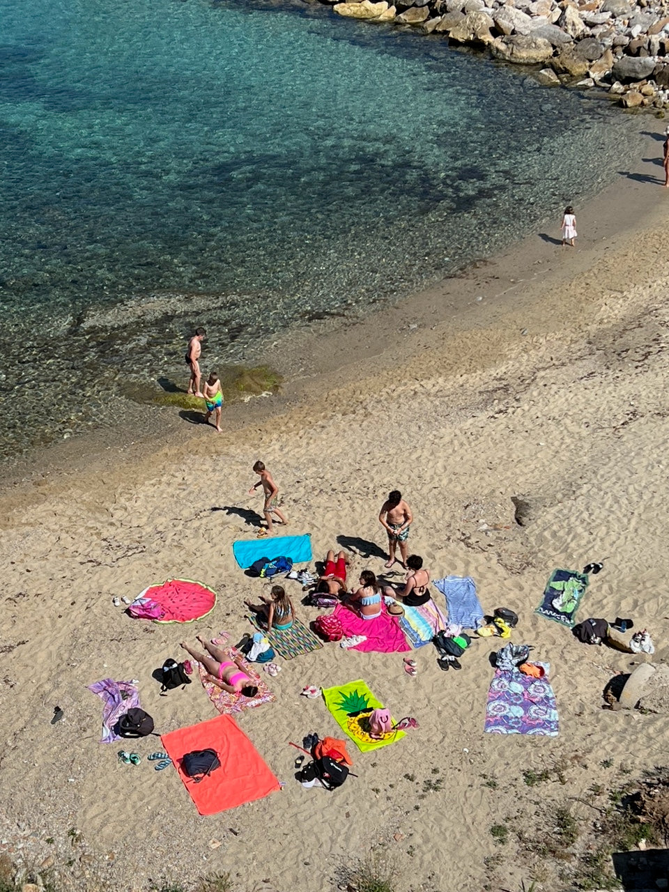 Gallery Italian Olive Oil Production Bramasole Bramasole Olive Oil