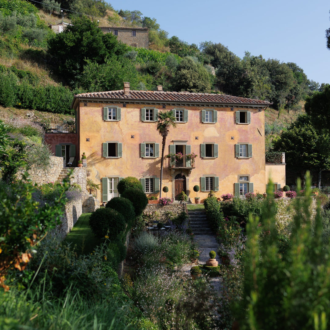 Fall 2025 Harvest Bramasole Olive Oil (Twelve 500ml Bottles)