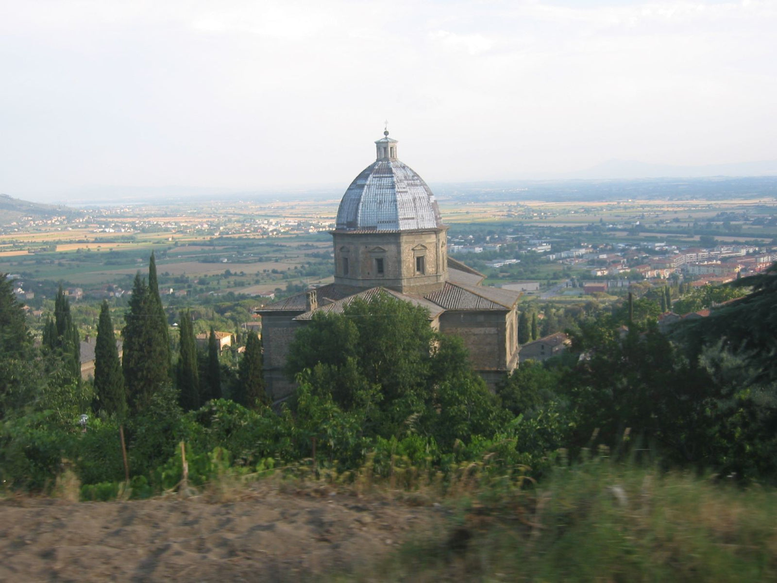 Gallery Italian Olive Oil Production Bramasole Bramasole Olive Oil