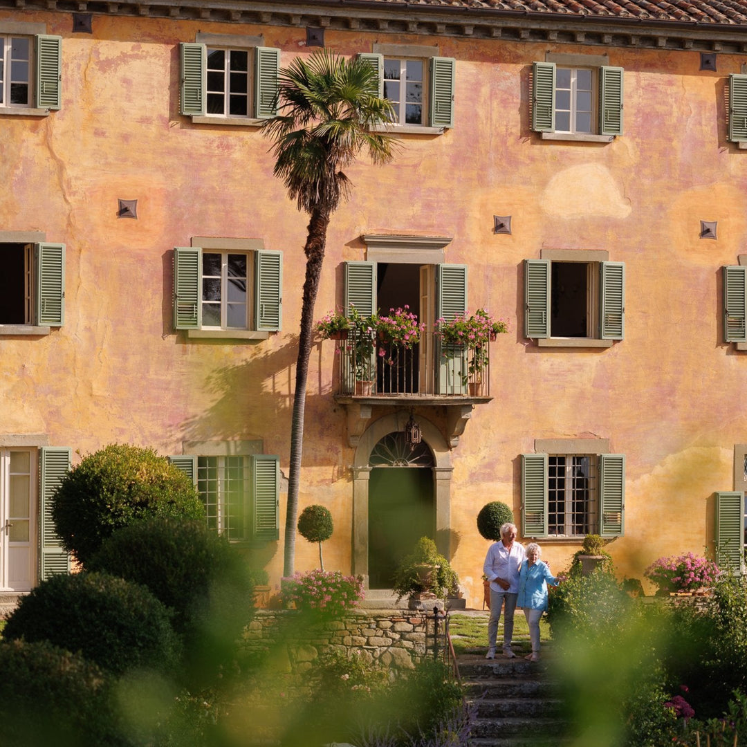 Fall 2025 Harvest Bramasole Olive Oil (Two 3L Cans)