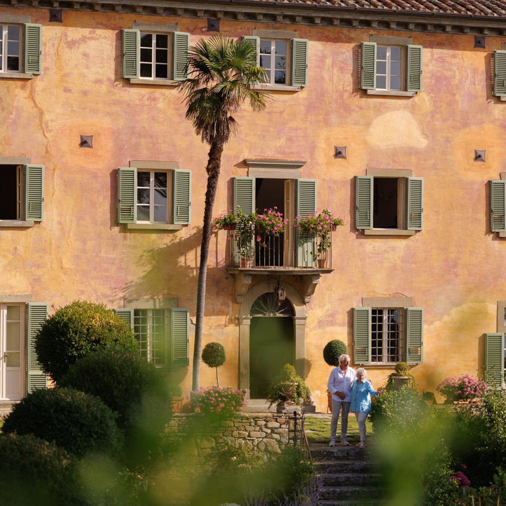 Fall 2025 Harvest Bramasole Olive Oil (Two 3L Cans)