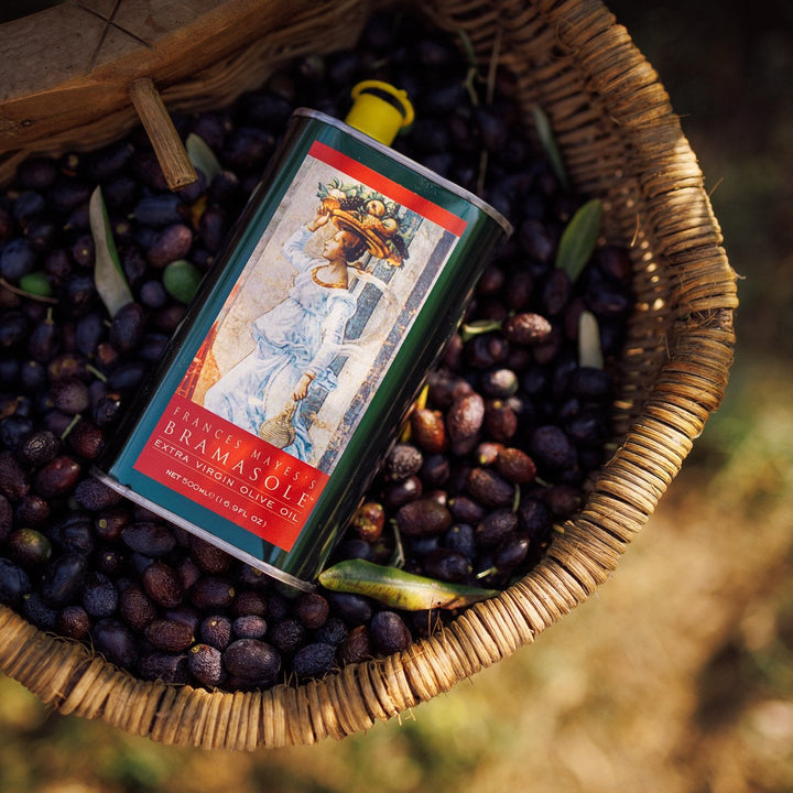 Fall 2025 Harvest Bramasole Olive Oil (Twelve 500ml Cans)