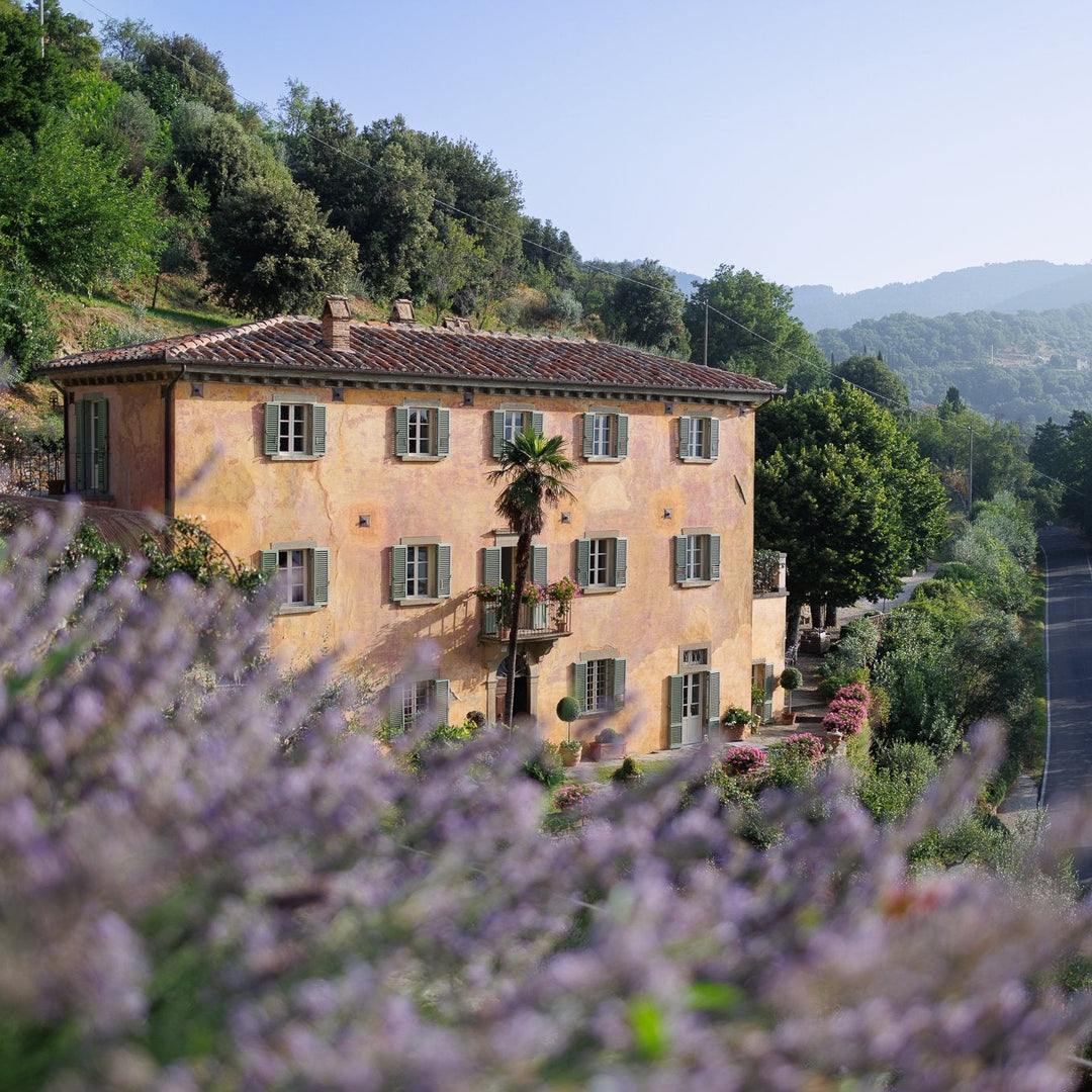 Villa Bramasole surrounded by trees and lavender fields in a scenic setting.