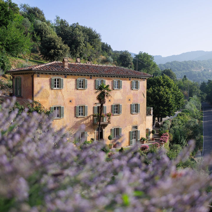 Villa Bramasole surrounded by trees and lavender fields in a scenic setting.